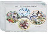 Биология: Растения. Бактерии. Грибы. Лишайники.6 кл. Демонстрационные таб. (32 таблицы+ методика).