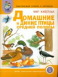 Тем. словарь в картинках. Мир животных. Домашние и дикие птицы средней полосы. (ФГОС)