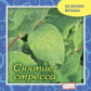 Елена. Целебная музыка. Снятие стресса. (CD)