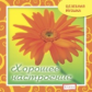 Елена. Целебная музыка. Хорошее настроение. (CD)