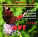 Лыкова. Луг. 4-7 лет. Видеолекция. Мастер-классы. Лепка. Презентация. Слайд-шоу. (DVD)