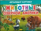 Обучающие карточки. Животные Северной Америки. 3+.