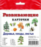 Развивающие карточки. Деревья, плоды, листья.