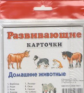 Развивающие карточки. Домашние животные.