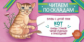 Читаем по складам. Кот. / Румянцева С.
