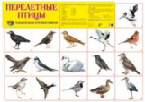 Дем. плакат. Перелетные птицы.