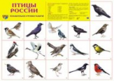 Дем. плакат. Птицы России.