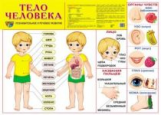 Дем. плакат. Тело человека.