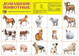 Дем. плакат. Домашние животные.