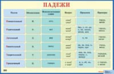 НП. Падежи. Русский язык. Большой формат./ Петленко.